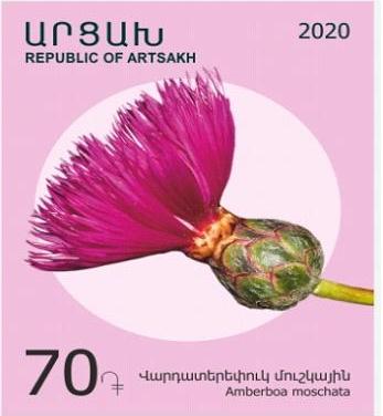 Ներմուծեք նկարագրությունը_1564